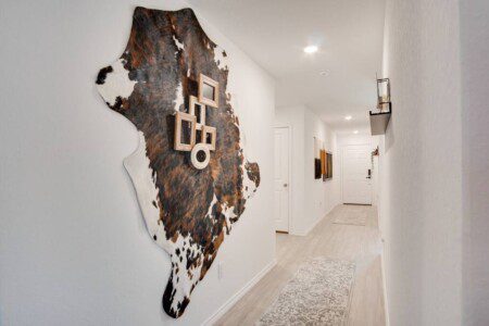 original 651520991593314850 1448343744.jpg