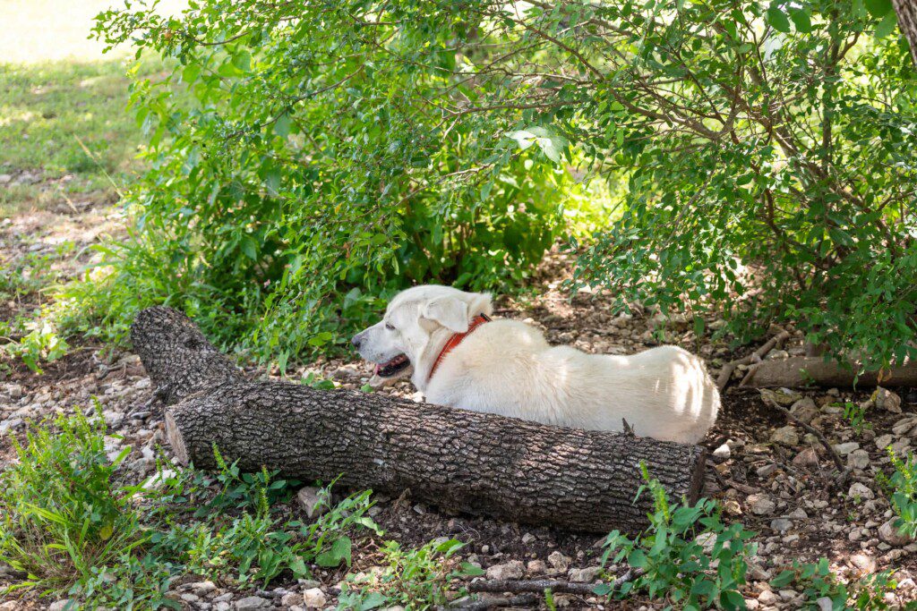 b3dnmkrx3ve4atlnuygw