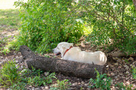 b3dnmkrx3ve4atlnuygw