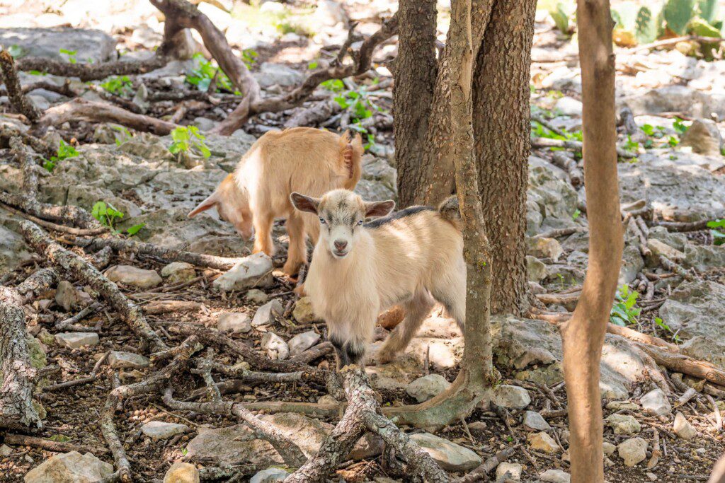 d5rdgmgi1h1mbh75zpbw