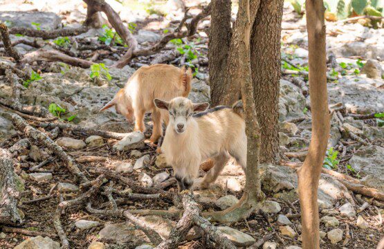 oujb4tfbmsoug8afhn65