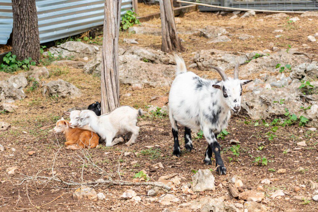 rdoxrc3ctersldlnnvz9