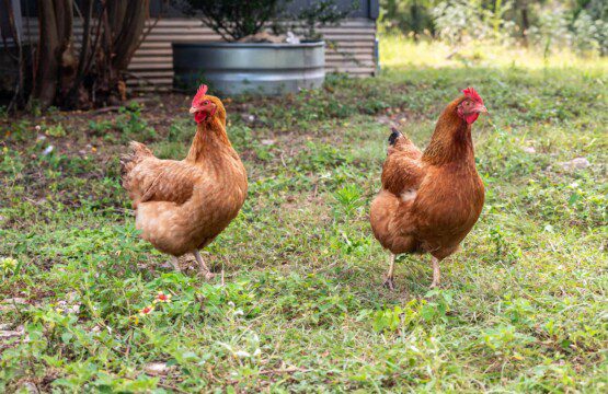 xlsnwpvds58ixoxznx6i